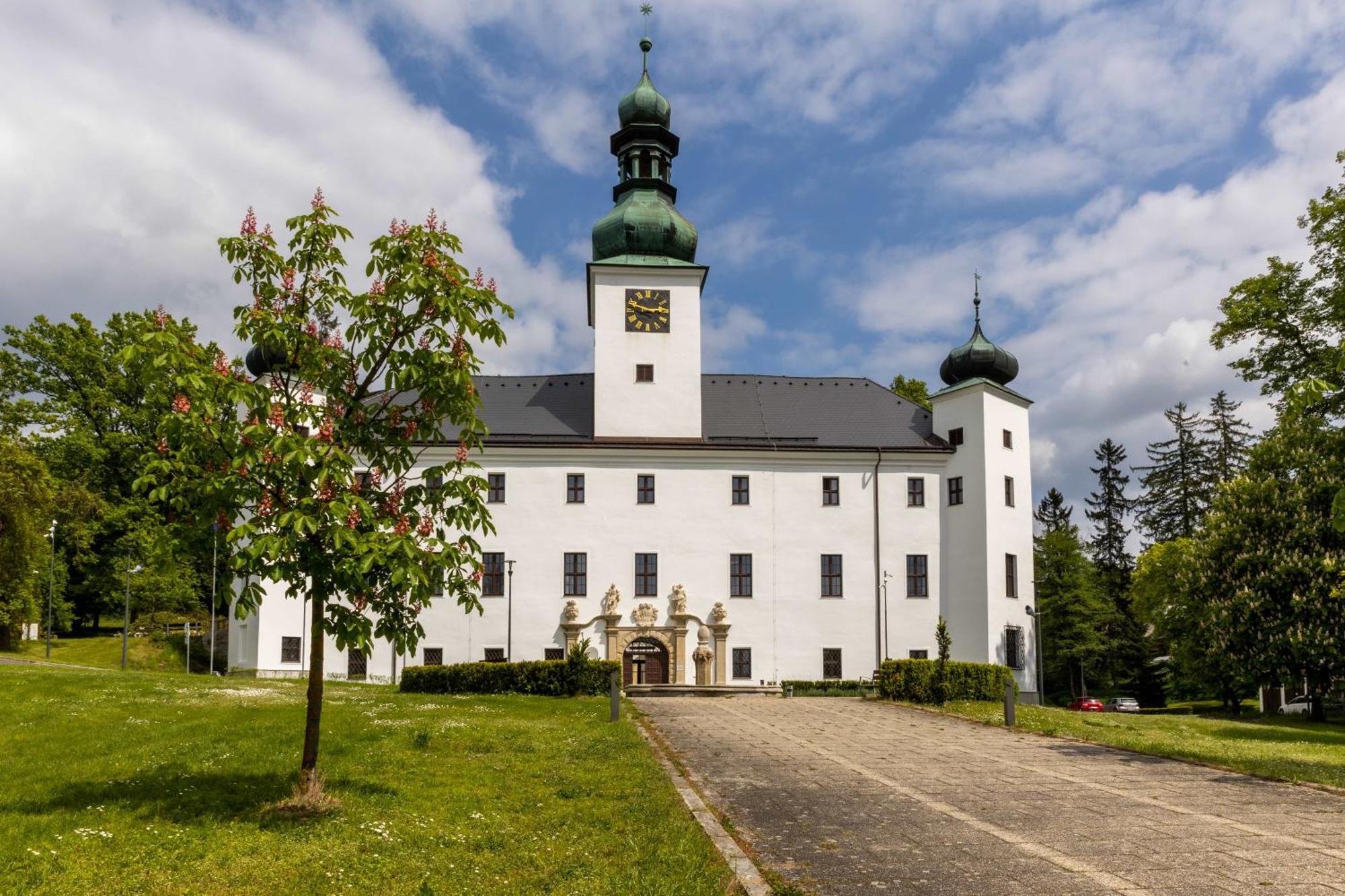 Zamek Trest Hotel Kültér fotó